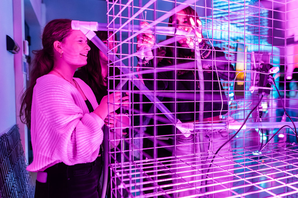144 20251114 Lotsoflieke Arttechtour LR
