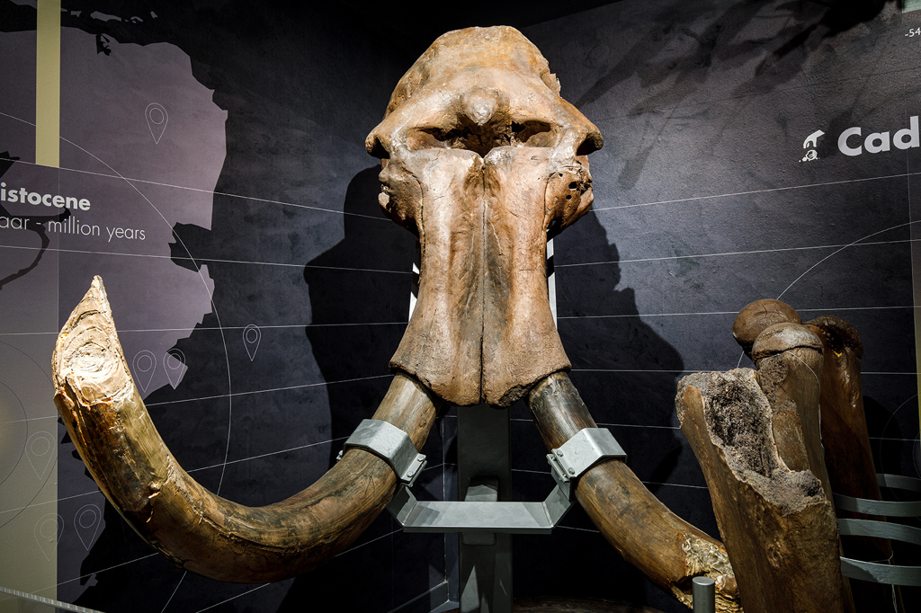 21natuurhistorisch-interieur.jpg