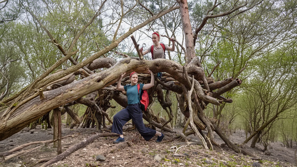 overheen tussendoor.jpg