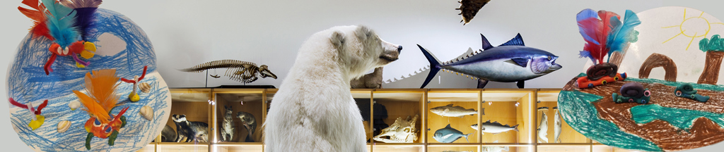 dierenverzamelen-banner-versie-2.jpg dierenverzamelen-banner-versie-2.jpg
