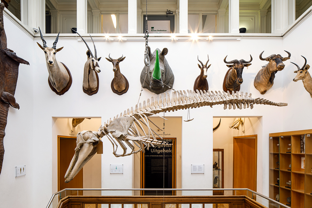 31natuurhistorisch-interieur.jpg