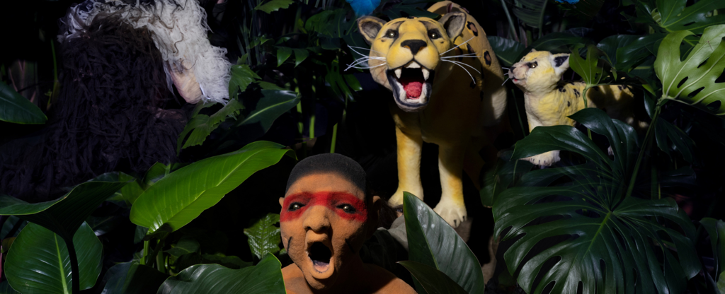 11 roodkapje amazonia.png 11 roodkapje amazonia.png