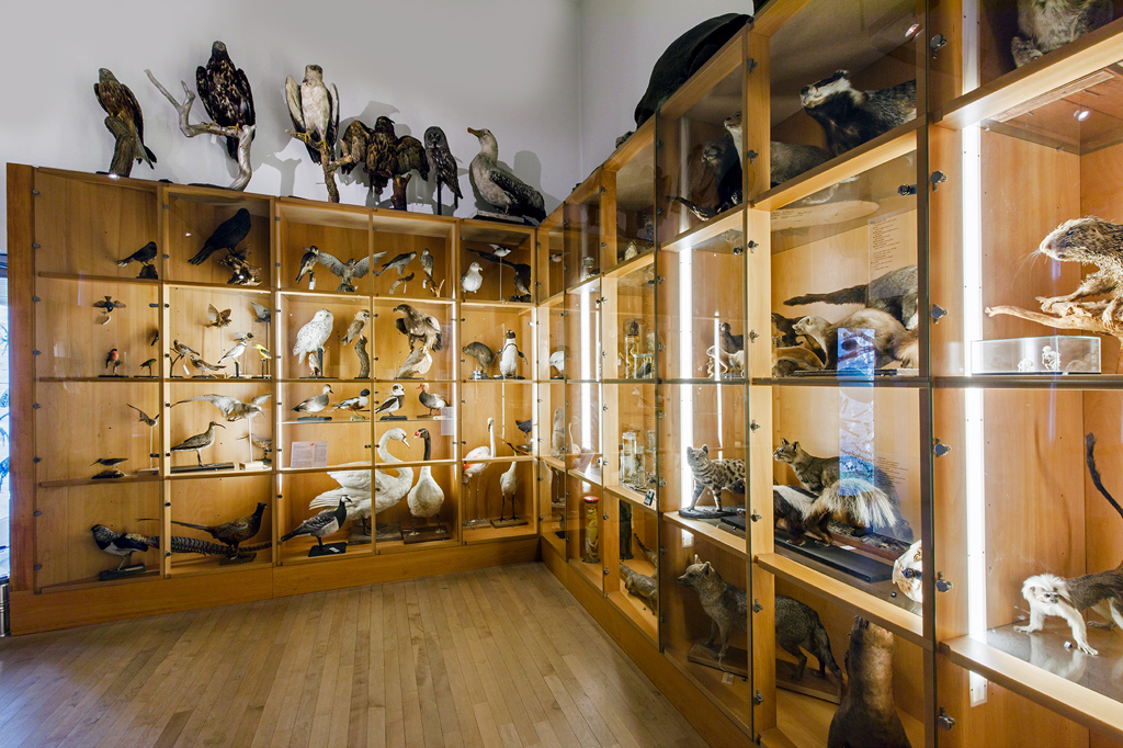 45natuurhistorisch-interieur.jpg