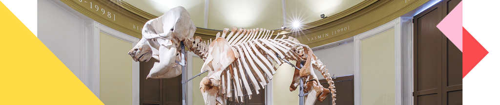 lekker-leven.png lekker-leven.png