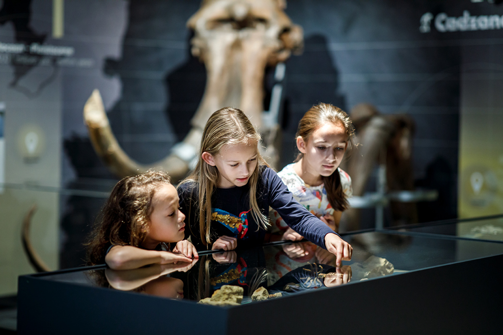 92-natuurhistorisch-kids.jpg