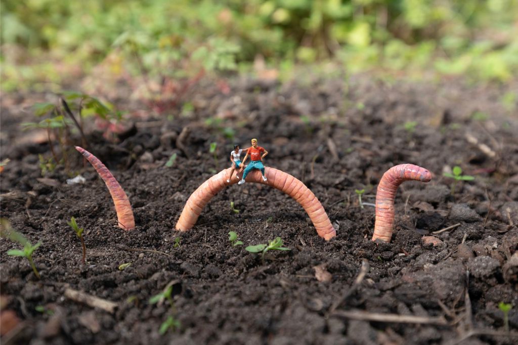 eyix-i2c.jpeg eyix-i2c.jpeg